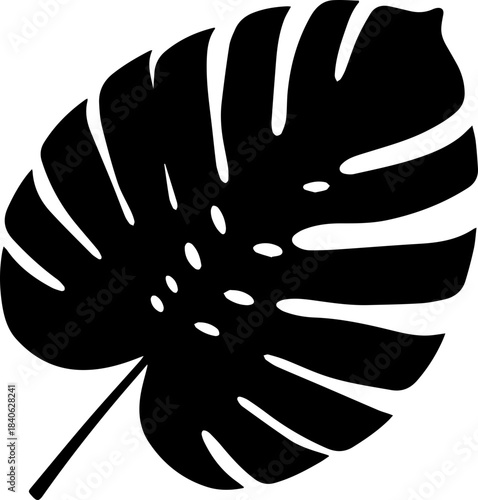 A black silhouette of a monstera leaf with characteristic holes and deep cuts on a white background