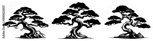 Bonsai tree silhouettes set, vector illustration, japanese miniature plant shapes, zen gardening black icons