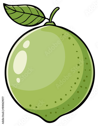 Bright green citrus lime with leaf vector illustration for fresh food concepts