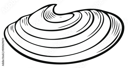 Single open clam shell outline with radiating lines and curves vector art