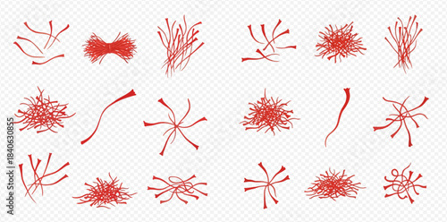 Set of fresh red saffron threads and stigmas, spice seasoning for cooking and medicine.