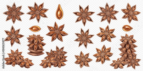 Set of aromatic star anise spice pods and seeds for cooking and baking.