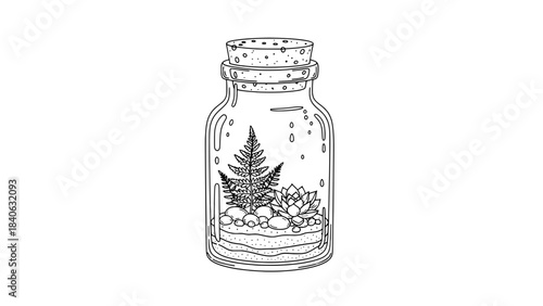 Line art terrarium in a glass jar with fern and succulent – hand-drawn botanical illustration