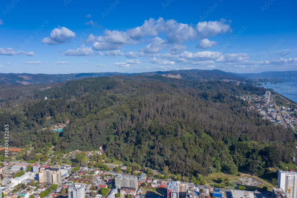 Obraz premium Foto aérea Concepcion 0516