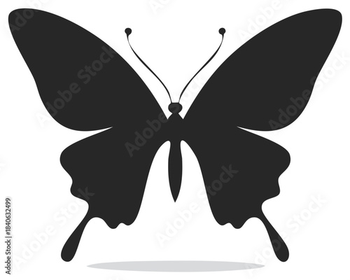 Butterfly Black Silhouette Vector Illustration Elegant Beautiful Insect Clip Art