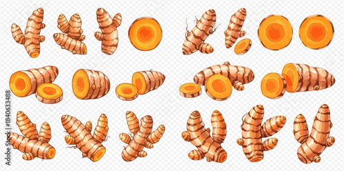 Fresh turmeric roots and slices, a collection of healthy spice illustrations.