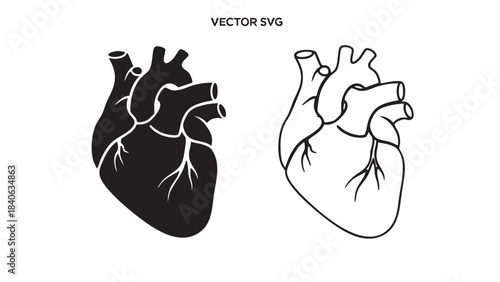 180_A_clean_minimal_vect_1_2025128_84233_traced