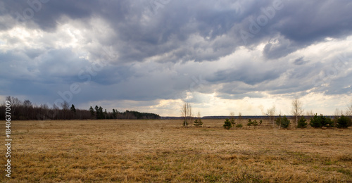 Tablou pe pânză Field of grass is empty and the sky is cloudy