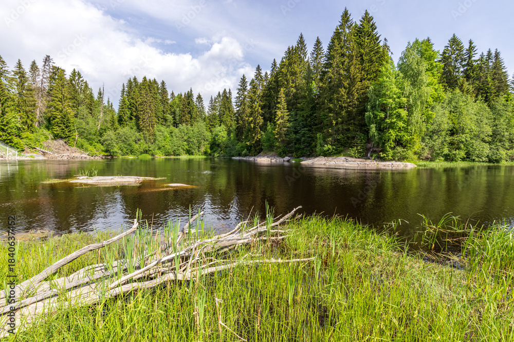 Obraz premium Lake surrounded by trees and grass