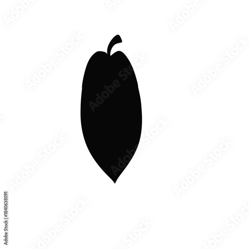 vector illustration of a papaya