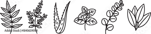 Collection of various leaf and plant illustrations in a row