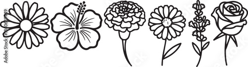Black and white line drawing of various flowers in a row