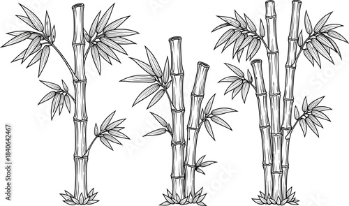 Hand-Drawn Black and White Outline Set of Bamboo Stalks with Leaves, Ideal for Oriental Art, Nature Borders, Eco-Friendly Templates, and Asian Culture Graphic Design