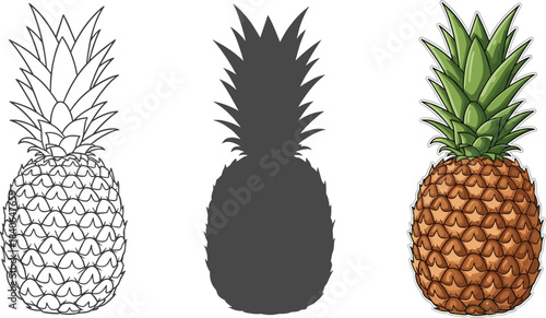 Three pineapple illustrations isolated on white background a line drawing, a silhouette, and a fullcolor version, all standing upright and facing forward