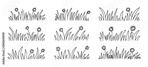 Black and white hand drawn grass and wildflowers set daisies handdrawn