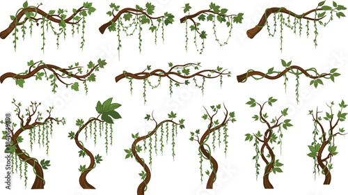 Tropical vine and jungle branch illustration set with hanging foliage, twisting plants, rainforest greenery elements, botanical climbing leaves vector collection