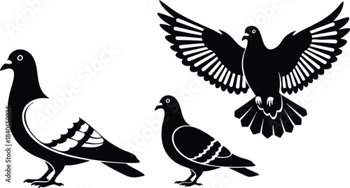 Silhouette vector flat design three pigeon silhouettes one landing wings spread two walking profile view isolated white background bold graphic emblem set minimalist black stencil icon