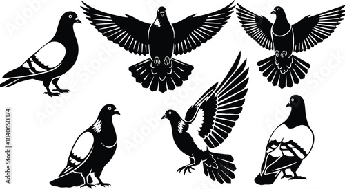 Silhouette vector pigeon set with wing spread flying perched side view six distinct pigeon poses black and white stencil icons isolated on white background simple bold