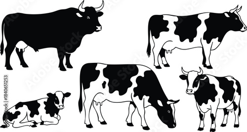 Minimalist flat vector silhouette set of five black and white dairy cows in various poses grazing lying standing facing right isolated on white background clean simple