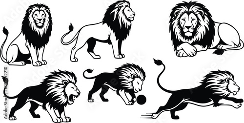 Line art close up set of six black and white lion poses including standing roaring walking playing with ball running profile sitting lying side detailed illustrations