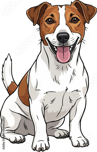 Jack Russell Terrier dog sitting happy panting smiling pose