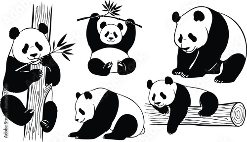 Line art playful group of giant pandas in various poses climbing eating and resting on logs and bamboo isolated vector illustration bold monochrome cute facial details