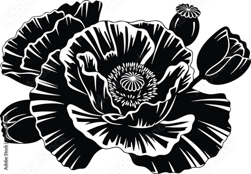 Linocut style detailed black and white poppy flower cluster close up top view vector art high contrast floral engraving illustration isolated white background hand cut texture