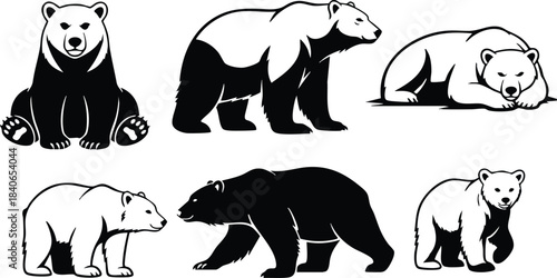 Line art six bear silhouettes in various poses front profile sleeping walking sitting close up side view bold black and white vector minimal isolated animal collection
