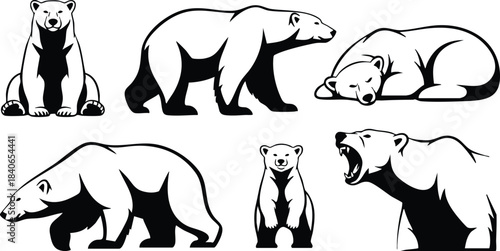 Line art polar bear set six black and white silhouettes sitting standing walking sleeping roaring frontal close up side profile low angle minimal monochrome vector illustration