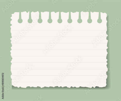 Torn edge paper note with lines on sage green background for writing or drawing ideas