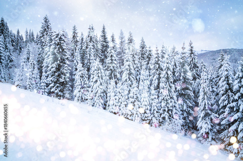 Winter panorama of forest with snow covered trees. Beautiful winter mountains landscape