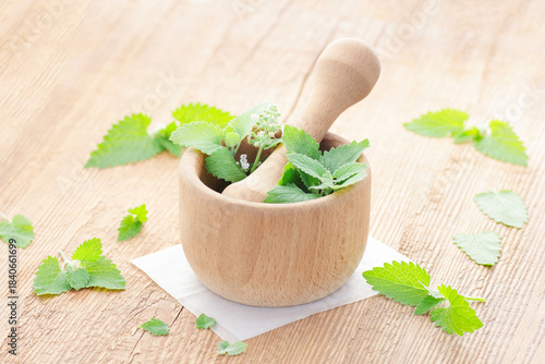 Lemon balm leaves in a mortar on wooden rustic table with fresh leaves  nearby, copy space, herbal remedy for insomnia and stress, natural hair and skin treatment, aromatherapy concept