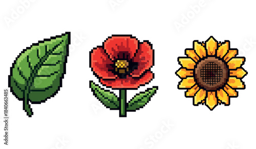 Pixel art nature: leaf, poppy, and sunflower icons