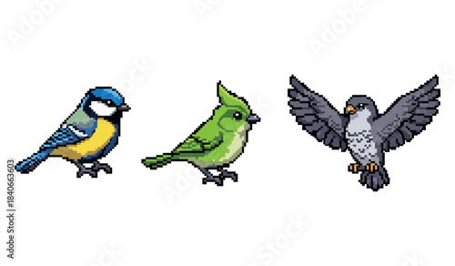 Colorful pixel birds: blue tit, green cardinal, and grey falcon