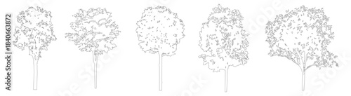 Minimal CAD tree line drawings, clean side view outline trees for architectural and landscape design plans