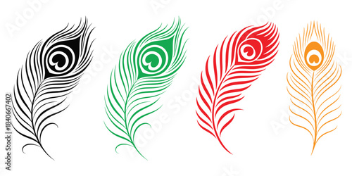 Vector illustration set of peacock feathers, bird art decoration pattern