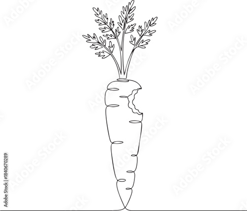 Bitten Carrot with Green Stem