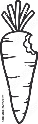 Bitten Carrot with Green Stem