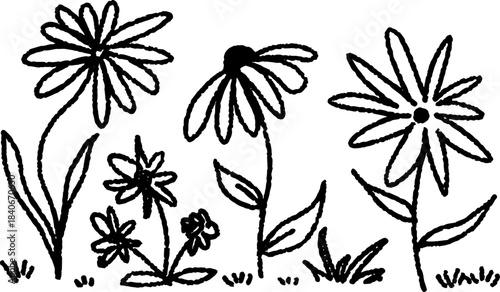 Simple flowers set, hand drawn black ink doodle of various daisy and chamomile flowers. Cute simple flowers set in sketch style with leaves and grass.