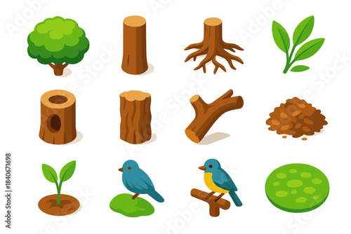 Vibrant Arbor Icon Set. Arbor Habitat Features isometric flat set: crown foliage, bark trunk, spreading roots, leaf spray, trunk cavity, rough bark grain, broken branch, forest