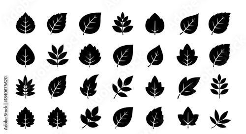 Collection of diverse black leaf silhouettes representing various plant foliage