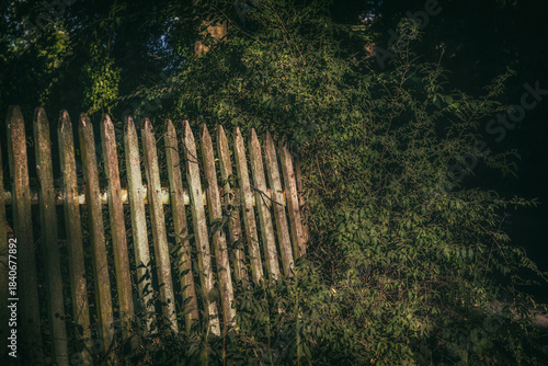 LANDSCAPE VILLAGE - An old board fence by the road in the sunlight
