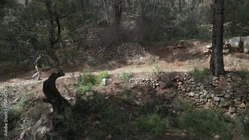 Hiker walking on a sunny forest trail