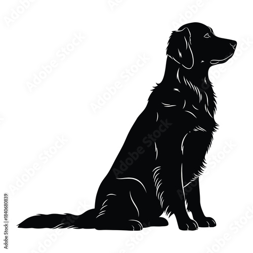 Black silhouette of a calm retriever dog sitting in profile pose
