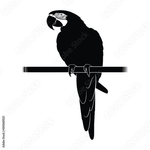 Stylized black macaw parrot silhouette perched on a branch graphic