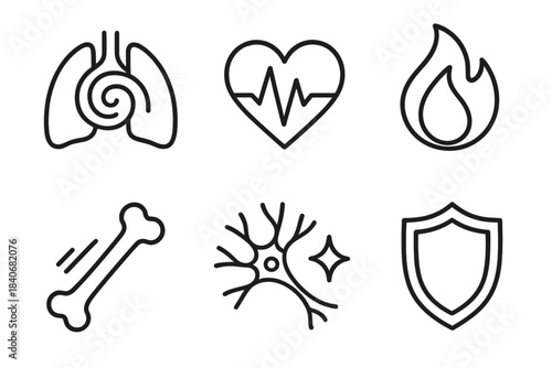 Body System Icons. Body System Essentials linear set: respiratory swirl, cardiac rhythm, metabolic flame, skeletal motion line, nerve spark, immune shield.