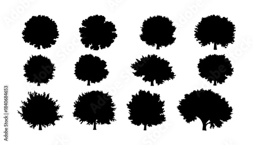 Tree Canopy Top View Silhouette Set