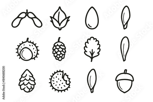 Tree Seed Icons. Native Tree Seed Set linear set: maple wing pair, beech mast, pine kernel, cedar cone seed, chestnut pod, alder seed, willow fluff, ash wing seed, birch scale seed