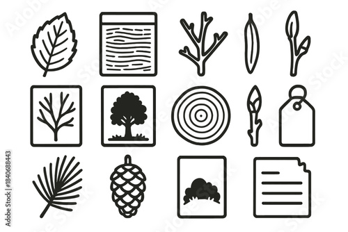 Tree Identification Icons. Tree Identification Tools linear set: leaf sample, bark rubbing sheet, twig specimen, seed pod, branching pattern card, silhouette guide, tree ring slice