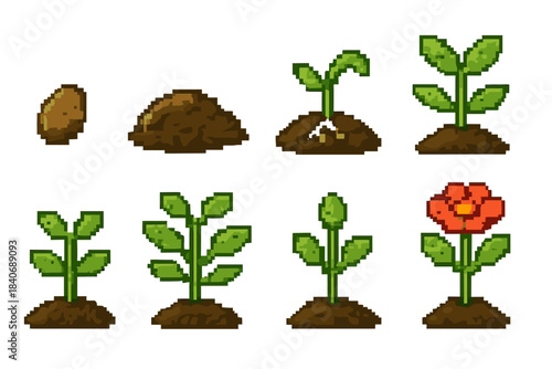 Pixel Plant Growth Icons. Botanical growth journey set of icons in flat pixel vector style: seed shell, moist soil bed, emerging root tip, green sprout, juvenile plant, branching